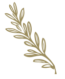 Στοιχείο από το λογότυπο του Thyme timeless stay στη Σίφνο