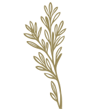 Στοιχείο από το λογότυπο του Thyme timeless stay στη Σίφνο